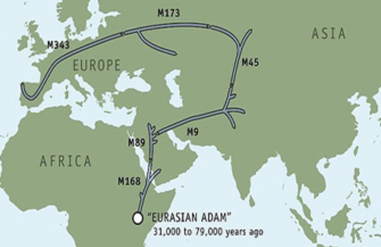 Генографический проект: родословная на 100 000 лет